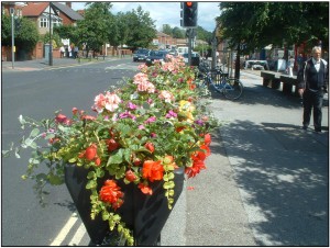 Front Street flower tubs 2007