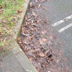 Grange Lane - layby close to School Entrance gulley almost blocked with leaves