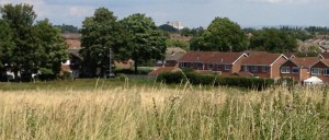 View of Minster from Acomb Moor click to enlarge