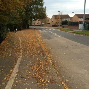 Leaves need clearing from paths