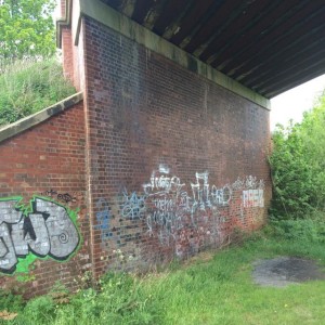 Graffiti at 6 mile bridge