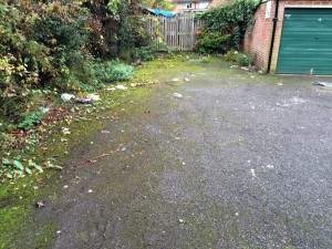 Little Green Lane garage area - worst case of Council neglect?