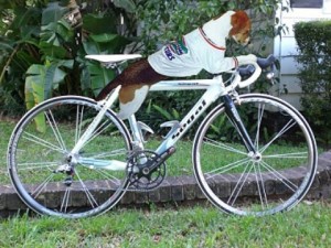 cycle dog Funny-Cycling-291