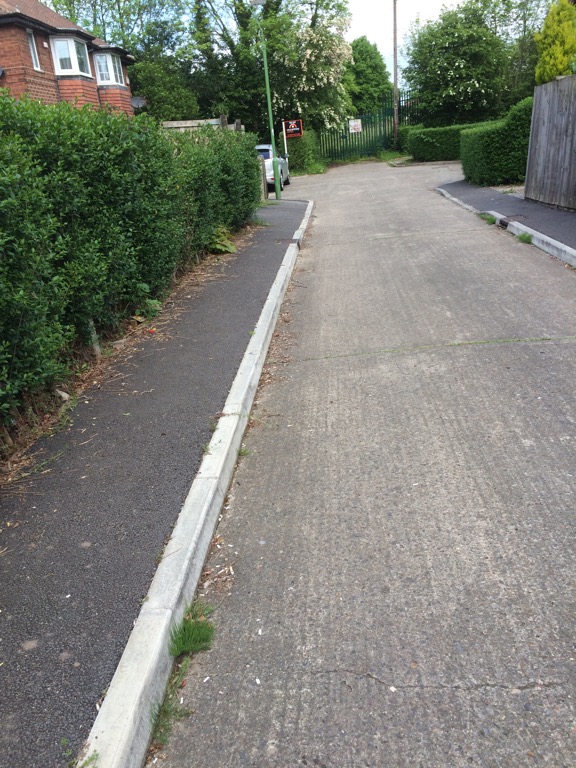 The rear entrance to the former Lowfields school on Tudor Road needs weeds clearing and detritus sweeping up. The cul de sac is much improved since the paths were resurfaced last year