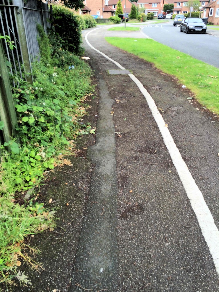 Bushes overgrowing footpath in Bellwood Drive