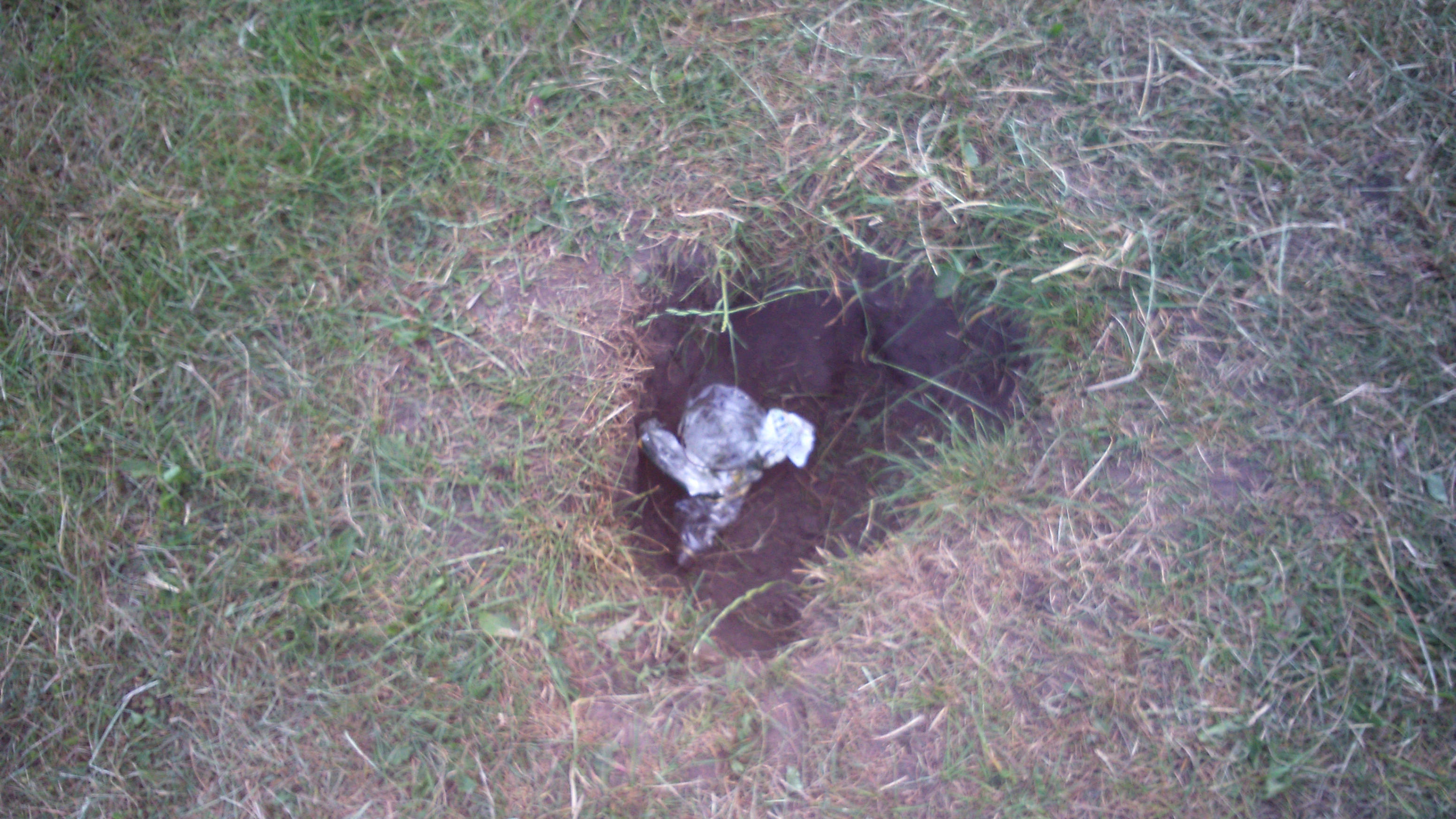 Hole on Chesney's Field
