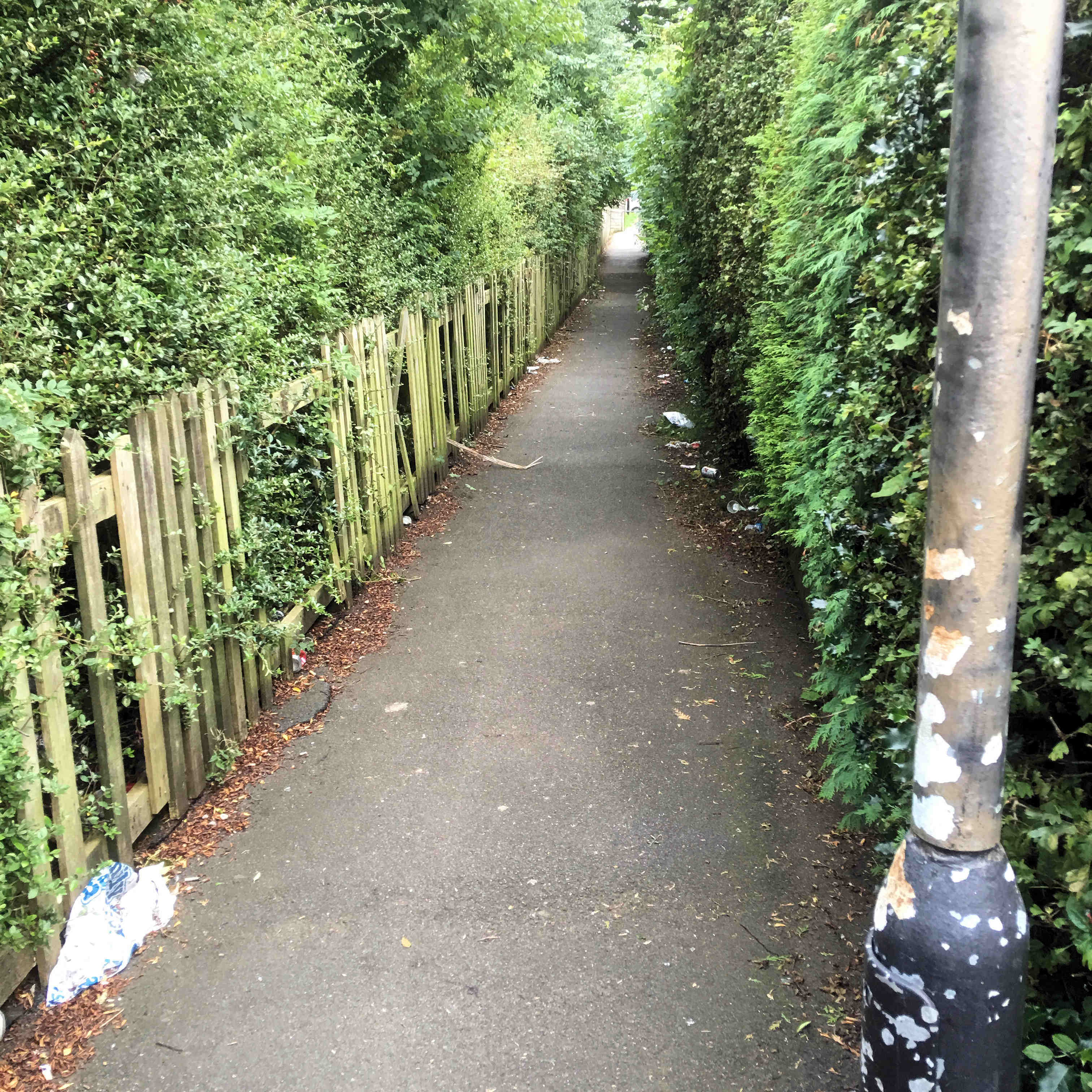 Main issues raised by residents included car parking and lack of maintenace of trees and bushes. The Grange Lane/Parker Avenue was a particular source of complaint. The snicket is overgrown and subject to littering. Some residents want to see it closed. although this is unlikely as it is a Public Right of Way.