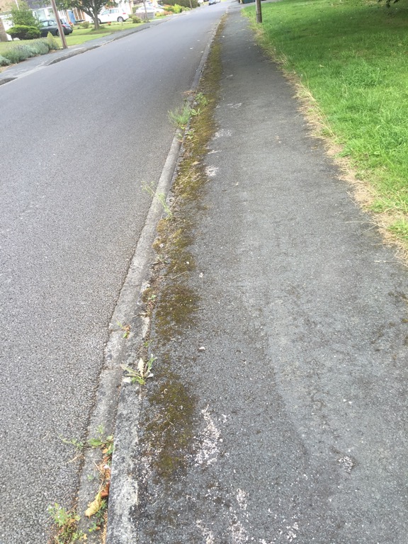 We've asked for weeds and moss to be cleared from paths in the Otterwood Lane area