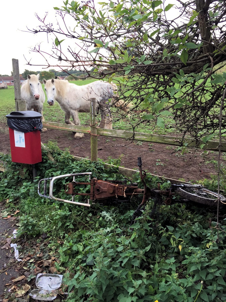 Unfortunately an outbreak of anti social bahoviour on Acomb Moor left bemused occupants eyeing a burnt out scooter. We've asked for the scooter to be removed.