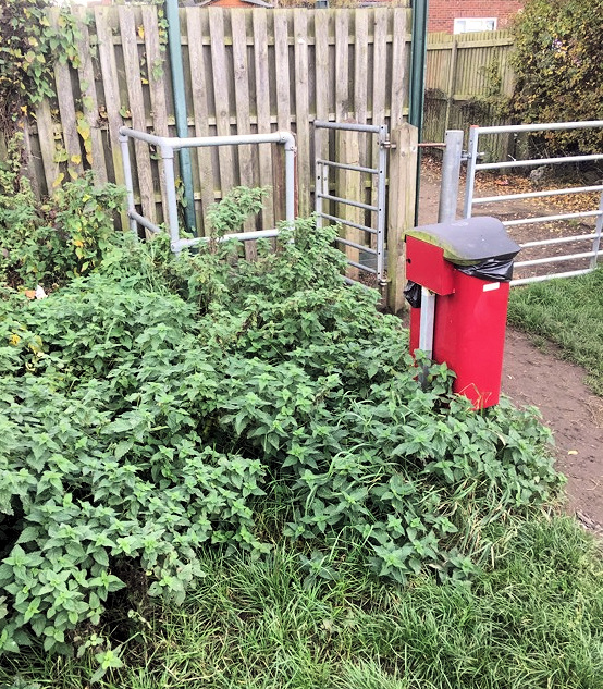 We've asked for nettles to be cut back from the kissing gate access to Westfield Fen